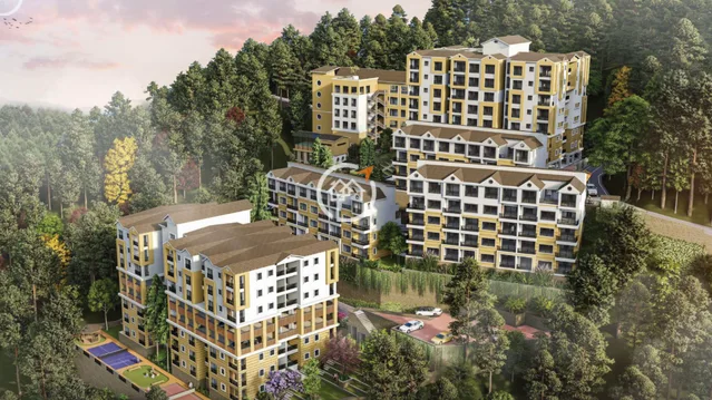 Tara Devi's Enclave