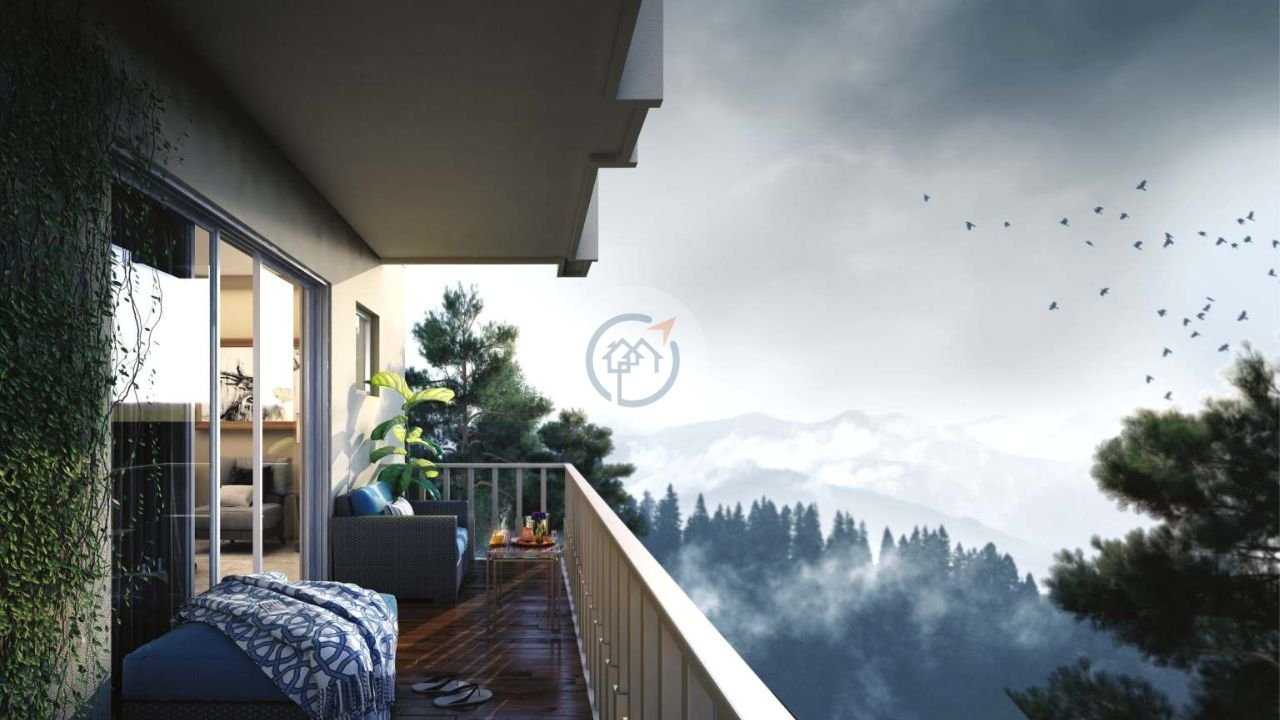 The Oriana - Developer Background