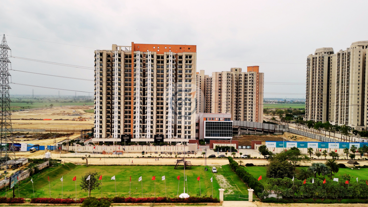 Oasis Grandstand - Developer Background