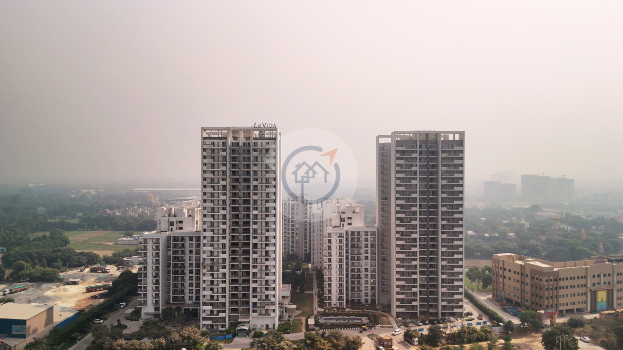 Tata La Vida - Developer Background