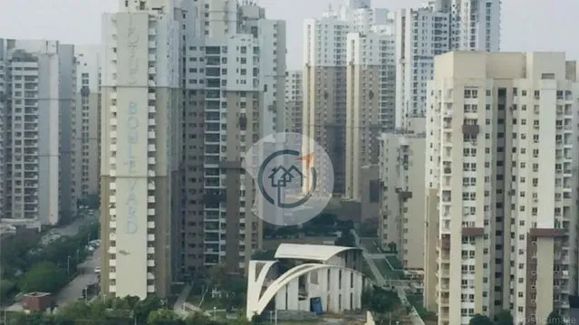 Lotus Boulevard - Developer Background