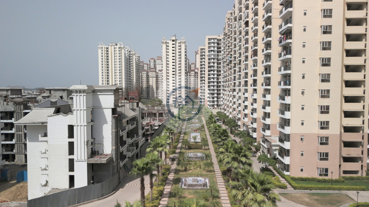 Nirala Aspire Gold - Developer Background