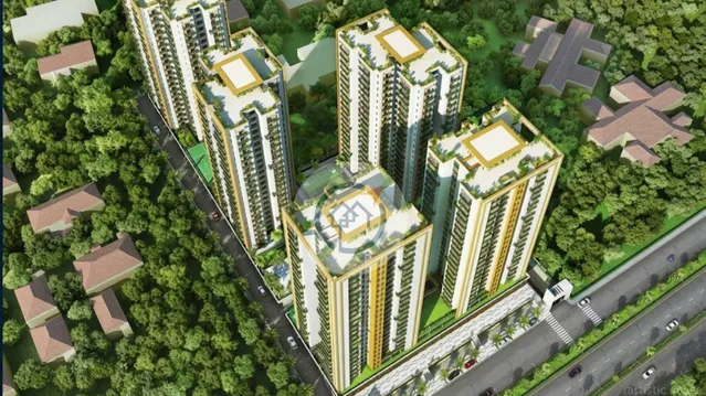 Trident Embassy RESO - Developer Background