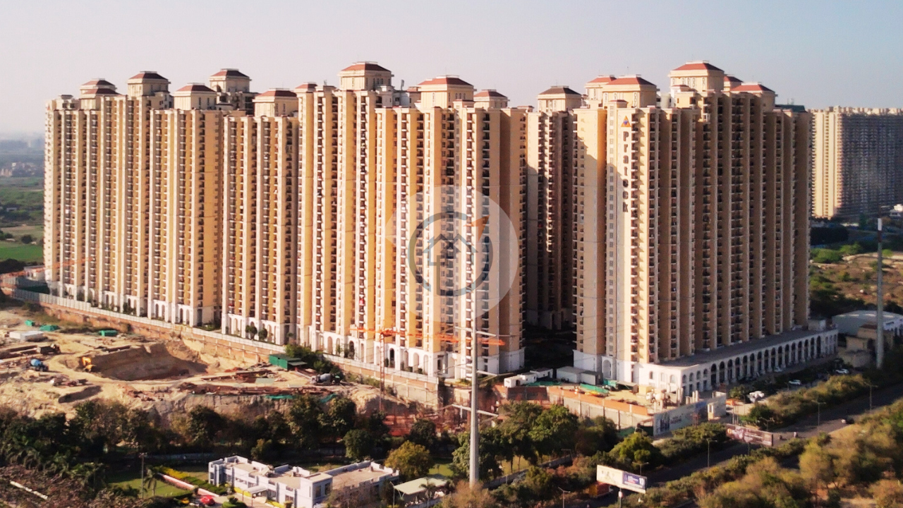 Prateek Grand Begonia - Features