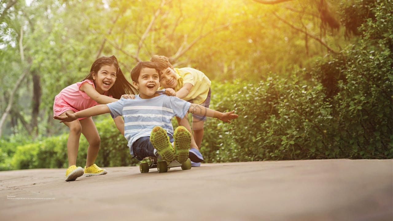 Purvanchal Sunbliss - Developer Background