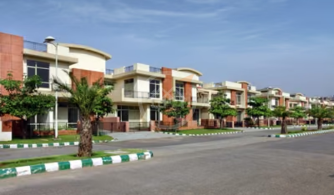 Parvarish Kailash Nilay - Developer Background