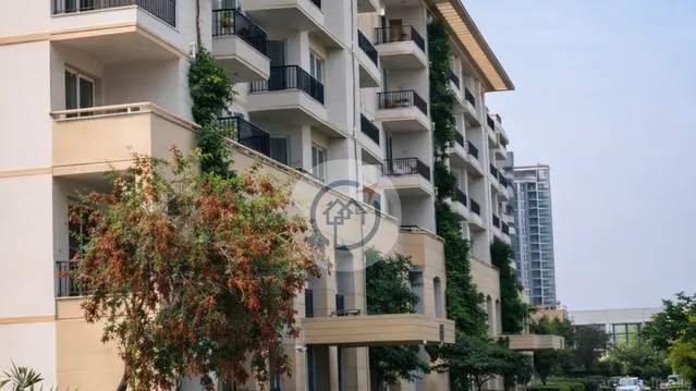 Augusta Town Homes - Developer Background