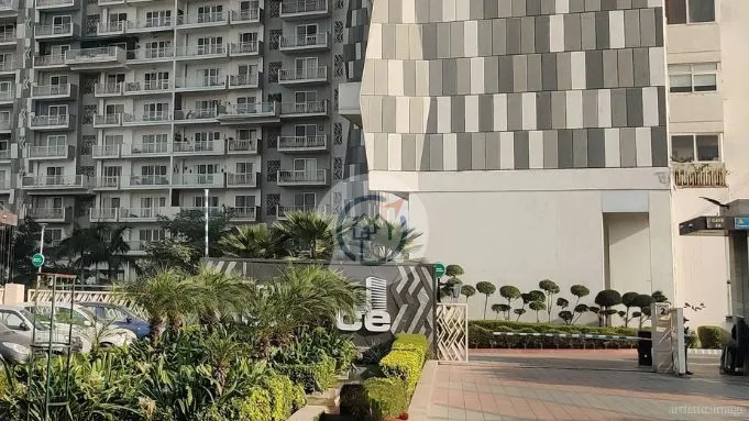 Prateek Edifice - Developer Background
